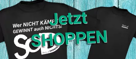 T-Shirt kaufen - T-Shirts kaufen Bild